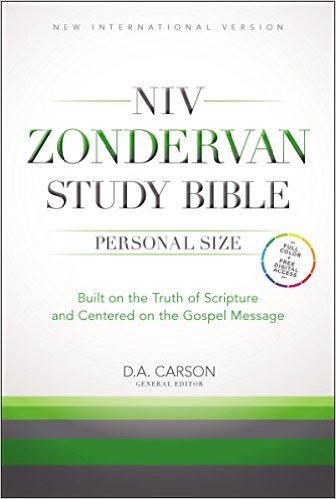 NIV Biblical Theology Study Bible